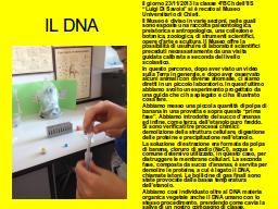 Diapositiva 12